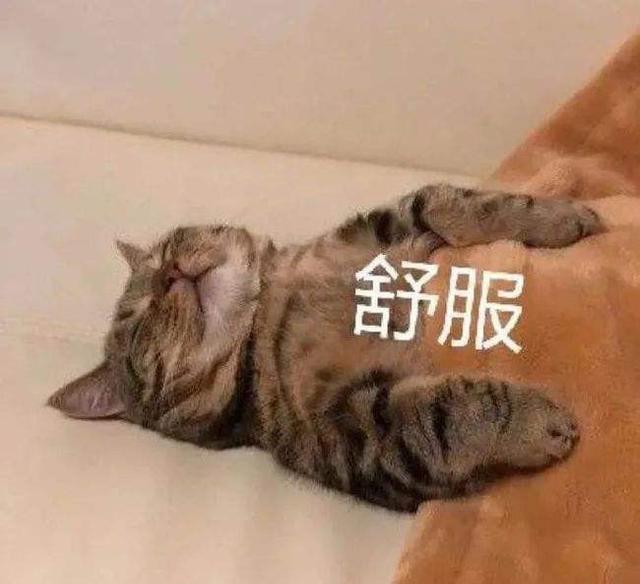 北上广|2022开年感悟：如果没能力驾驭北上广的生活，回老家也不是失败者