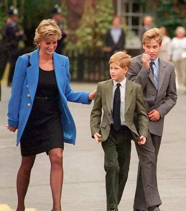 哈里王子|哈里王子在《备胎》中透露，戴妃去世那年夏天，是他最快乐的日子