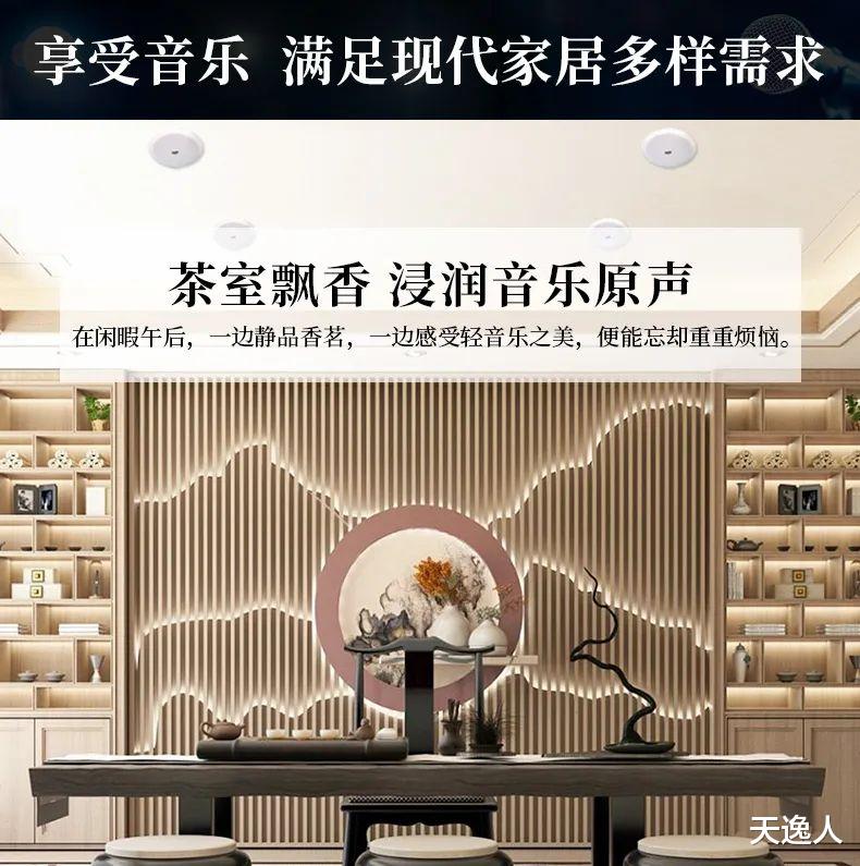 |AD-K02多功能背景音乐功放：精致小巧，应用百变