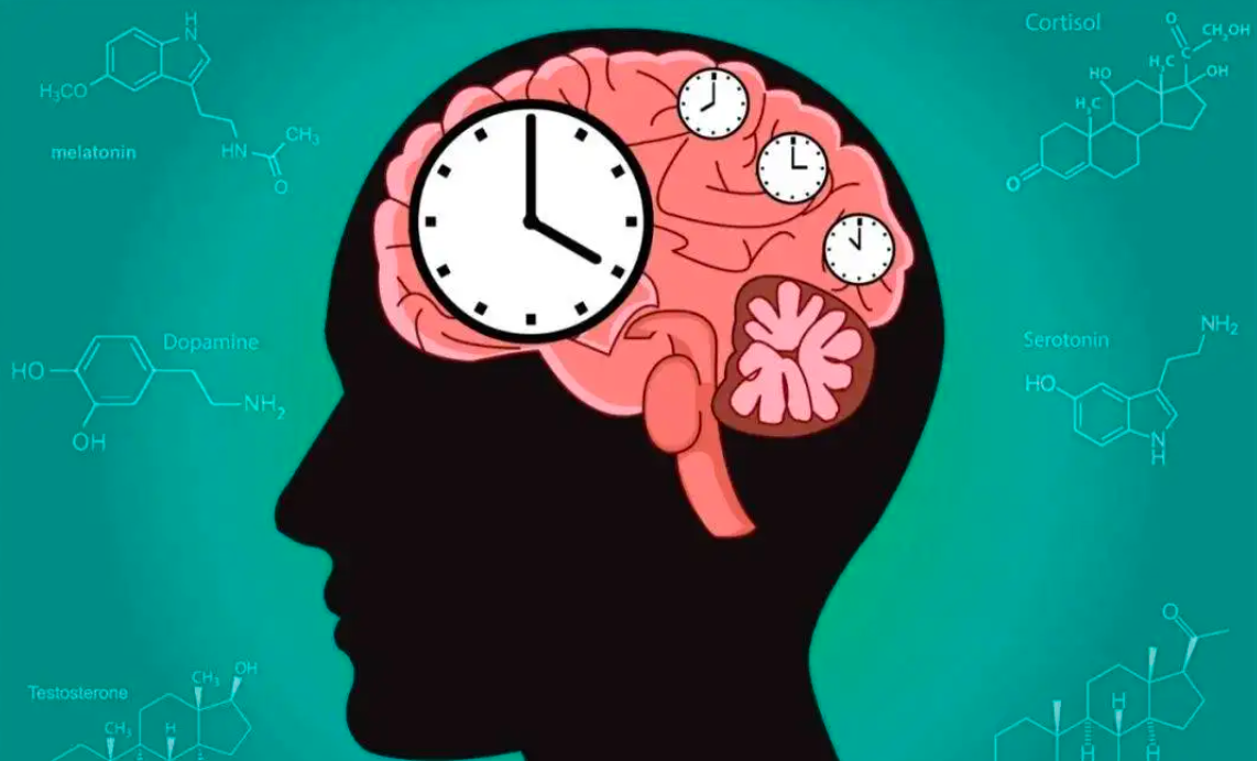 为证明时间不存在,科学家让一女性在洞穴住了130天,结果如何