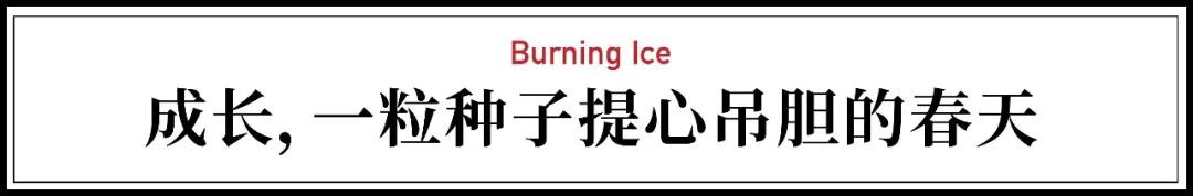 律师|他跟拍北京中产家庭四年：片子一出引爆争议