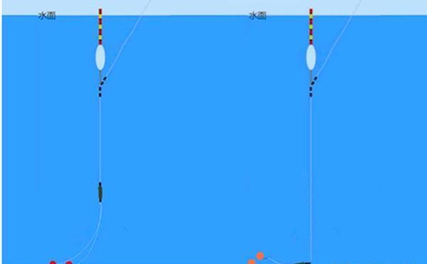 饵料|小暑过后鱼应该这样钓，每次鱼获多