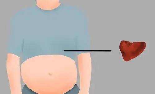 秋分|脾有病,人就废了一半!伤脾的习惯趁早改,脾或会慢慢变好