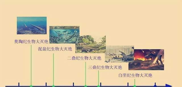 动物体型越大在竞争中越有利,但为何却越容易灭绝?