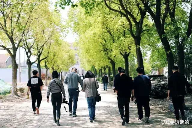 |旅游的人没有农民,归纳起来有三个原因