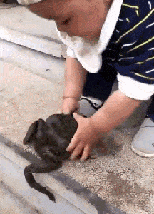 结婚时请了3个伴娘,发现这婚可能结早了...总要给别人留点机会啊