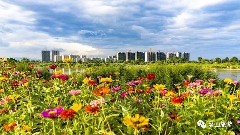 露营|好消息!安庆两地上榜全国百佳!