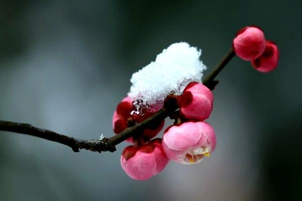 婚姻|说到底，女人这辈子能依靠的，只有一个人