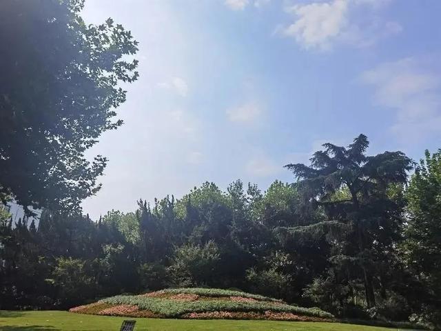 普陀|一步一景!普陀这里有条充满浪漫气息的路,快来逛逛吧!