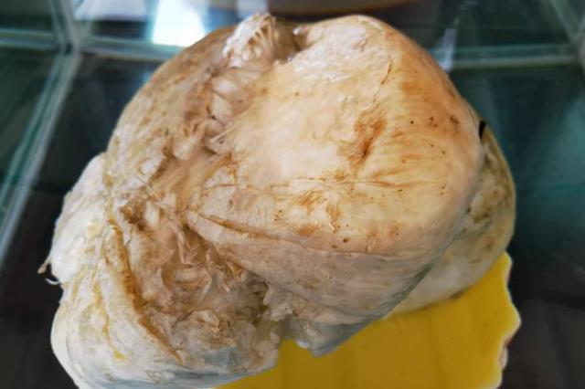 违背生命规律的生物有哪些?你听说过,跳出三界外的“太岁”吗?