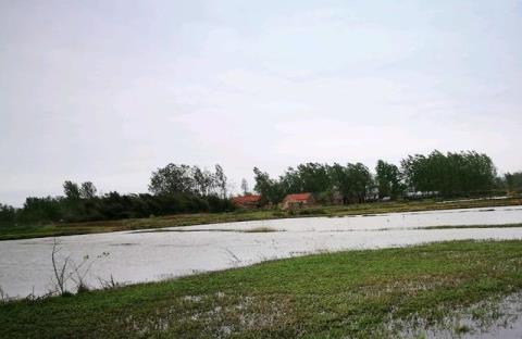 水库|害鱼?安徽一男子水库钓起“水老虎”,因放生遭围观大叔臭骂