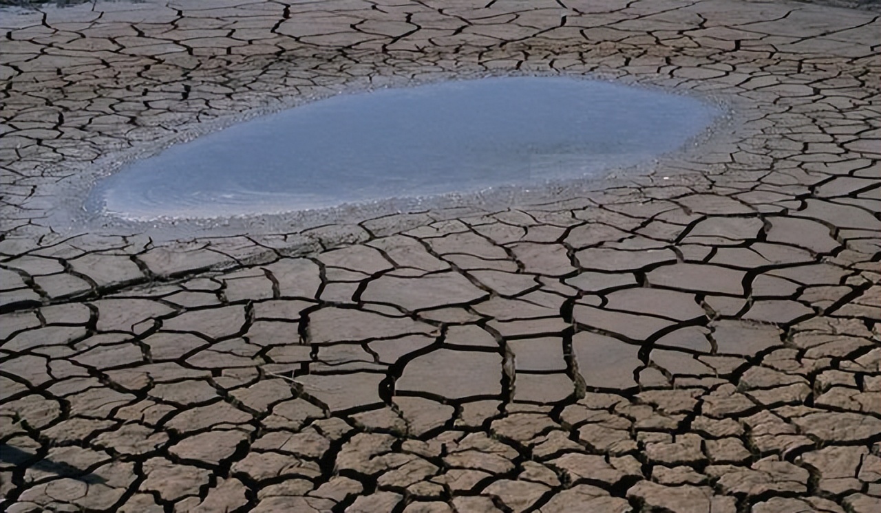 饵料|在家闲着的钓友,别总蹉跎时日,还有这几样事要做