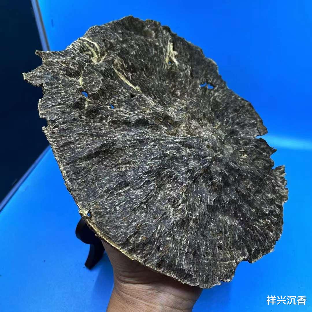 翡翠|沉香跟奇楠有什么区别?