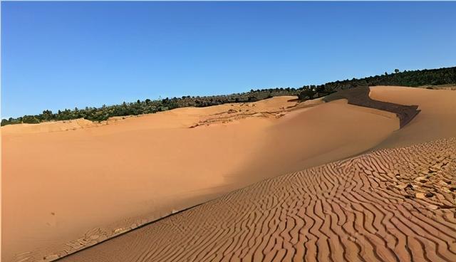 2100年地球可能更危险?科学家警告:影响50亿人的事情或发生