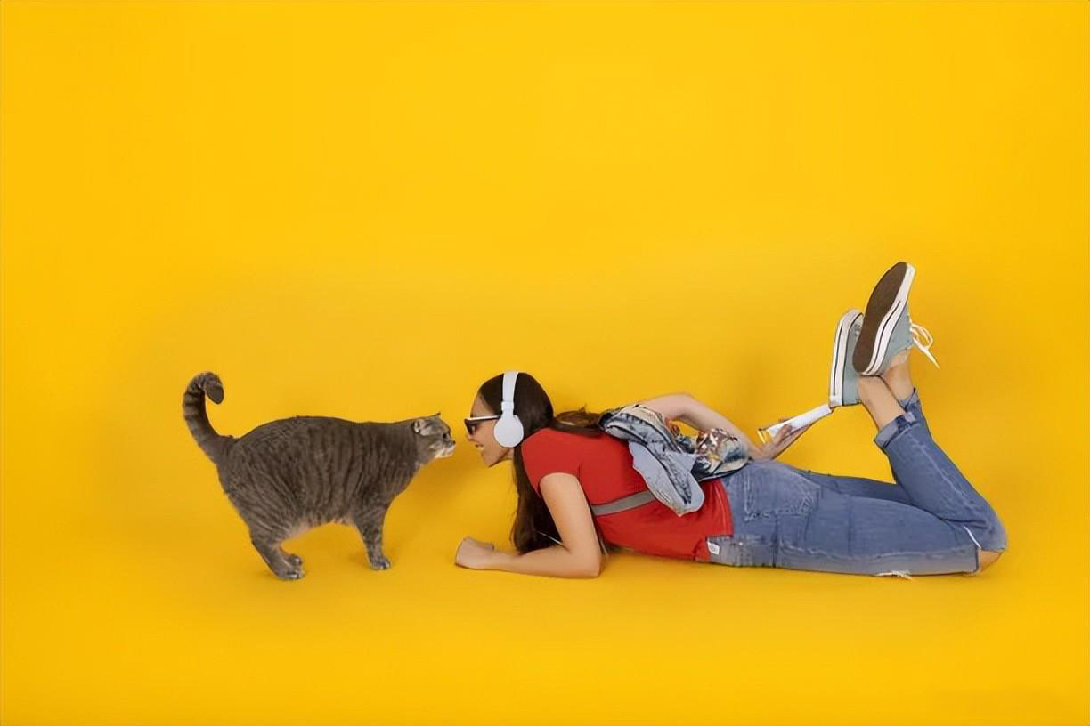 新手养猫指南｜新手养猫需要做哪些准备