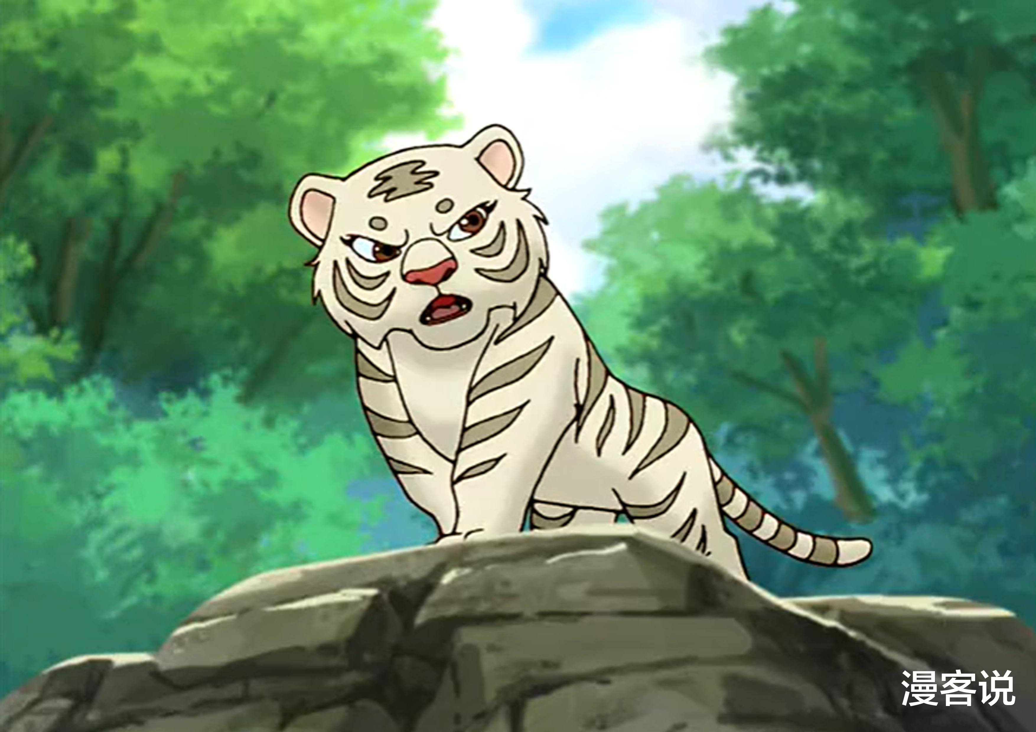 老虎|盘点国产动画中的老虎形象，你还记得几个