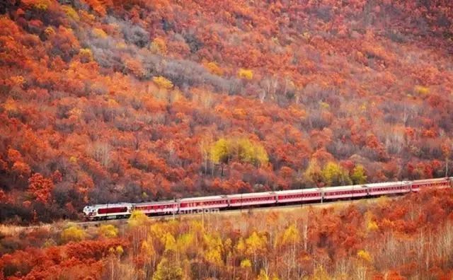 |坐上开往长白山的绿皮火车，风景美到不敢眨眼睛！