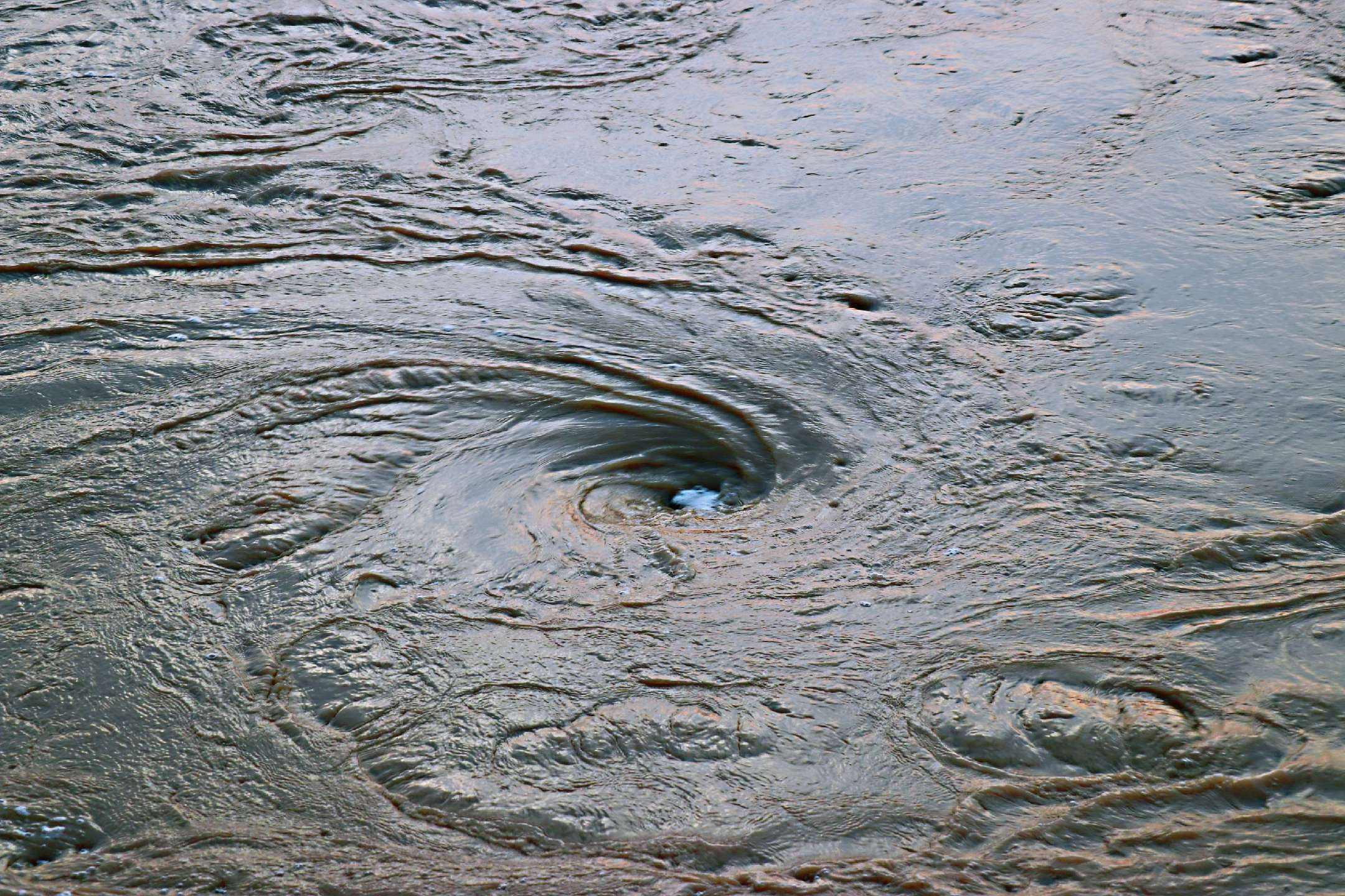 饵料|鱼竿把钓竿拖入河中,重庆男子下水捞鱼竿!为何会游泳还会溺水?