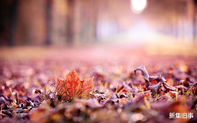 盘州|在迥异的秋色中，品读秋的韵味斑斓