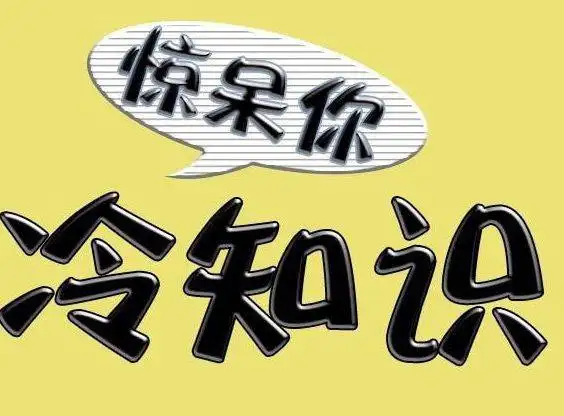 冷知识讲解