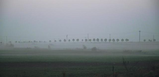 短视频|19岁当妈,该骂的不是她