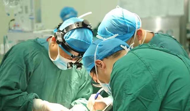 死而复生?美科学家:猪死亡一小时后被“复活”!有何实际作用?
