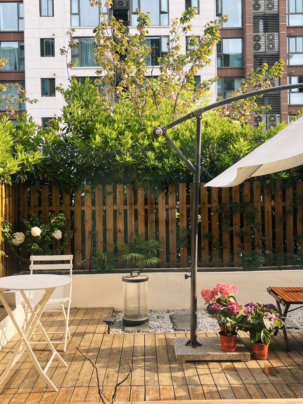 住房公积金|一楼40㎡花园改造，3万元就能拥有一个自己的秘密花园，太美了