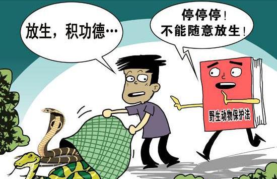 |男子野钓“运气”爆棚，收获的全是清道夫，网友：放生造的孽