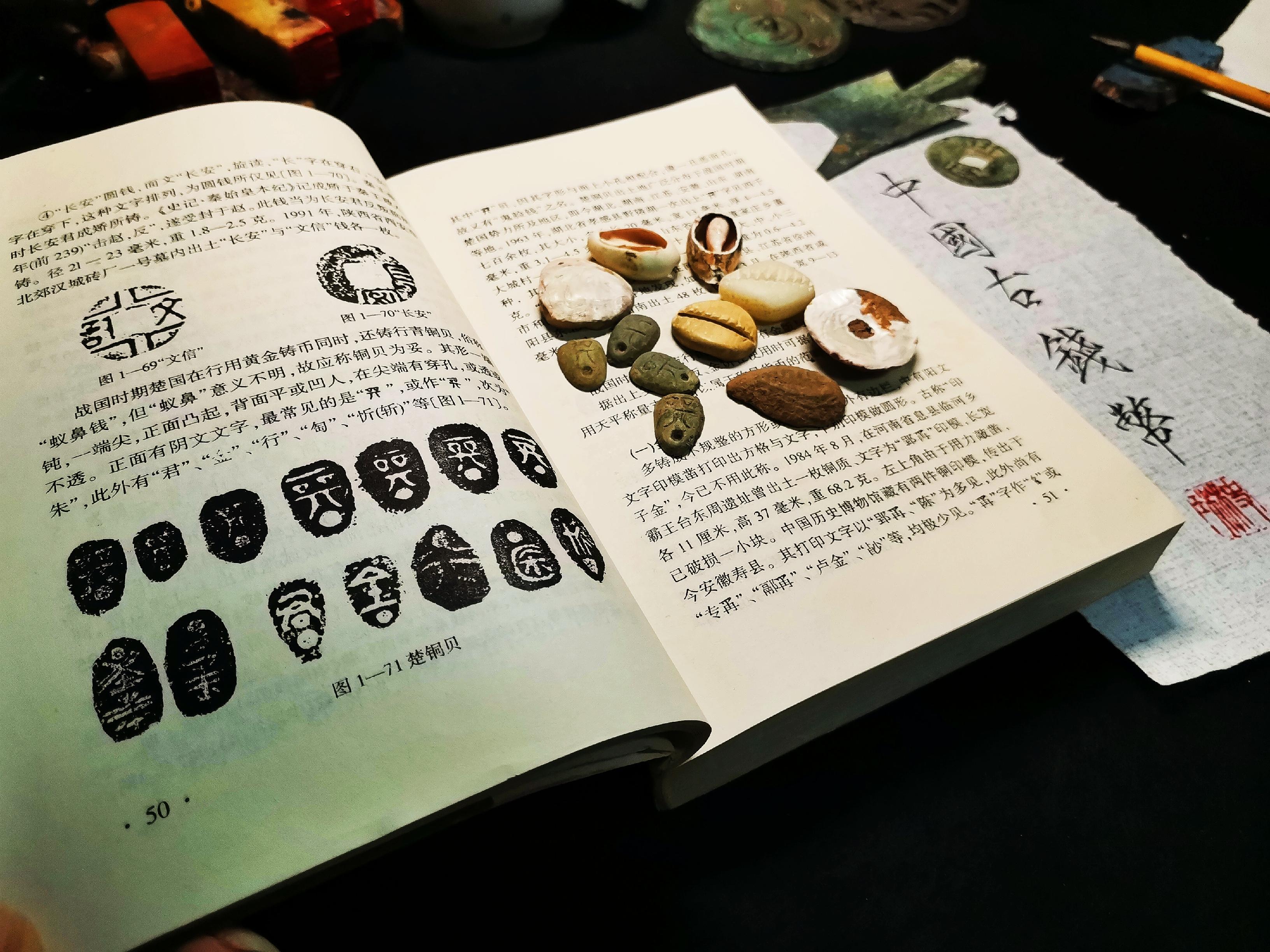 古代一捧贝壳能买500亩良田,穷人为什么不多捡些致富