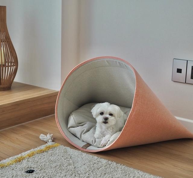 20年老房半年完工，夫妻俩带着3个“孩子”入住135㎡，幸福安逸