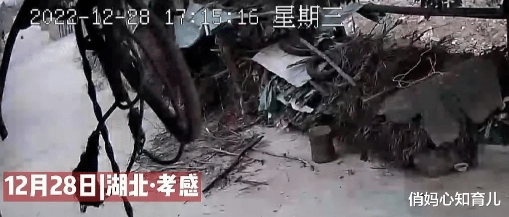 太揪心!6岁自闭症男童离奇失踪近5日,就像人间蒸发一样蹊跷!