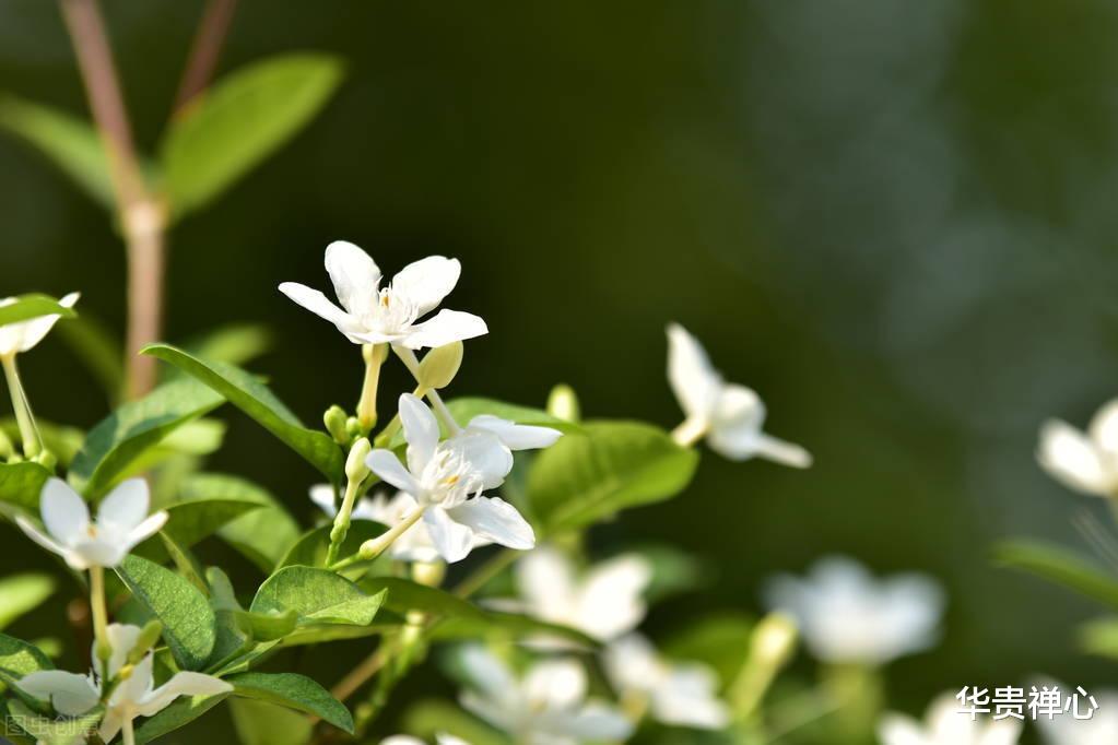 退休|女人退休后,不停止自我的这几种内耗,再好的养生也是徒劳