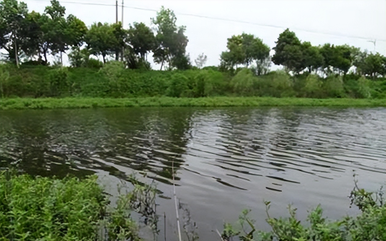 |夏季野钓看钓位,牢记选位“四字”诀窍,渔获有保证爆护也不难