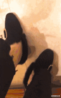 肠胃 “芯片那么难造,那么山寨机的芯片哪里来的呢?”