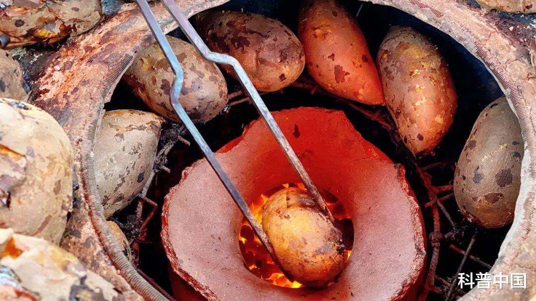 红薯|街边的烤红薯会致癌?吃红薯必问的7个问题,一文说清!
