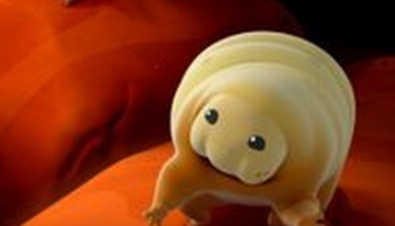 不怕冷也不怕热的超级生物,科学家认为,对付它仅有一个办法
