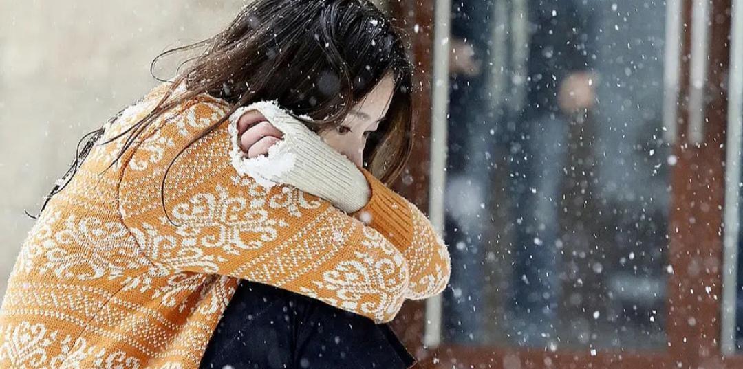 焦俊艳|悬疑剧《双食记》将播,白客演男主,佟丽娅焦俊艳饰演红白玫瑰