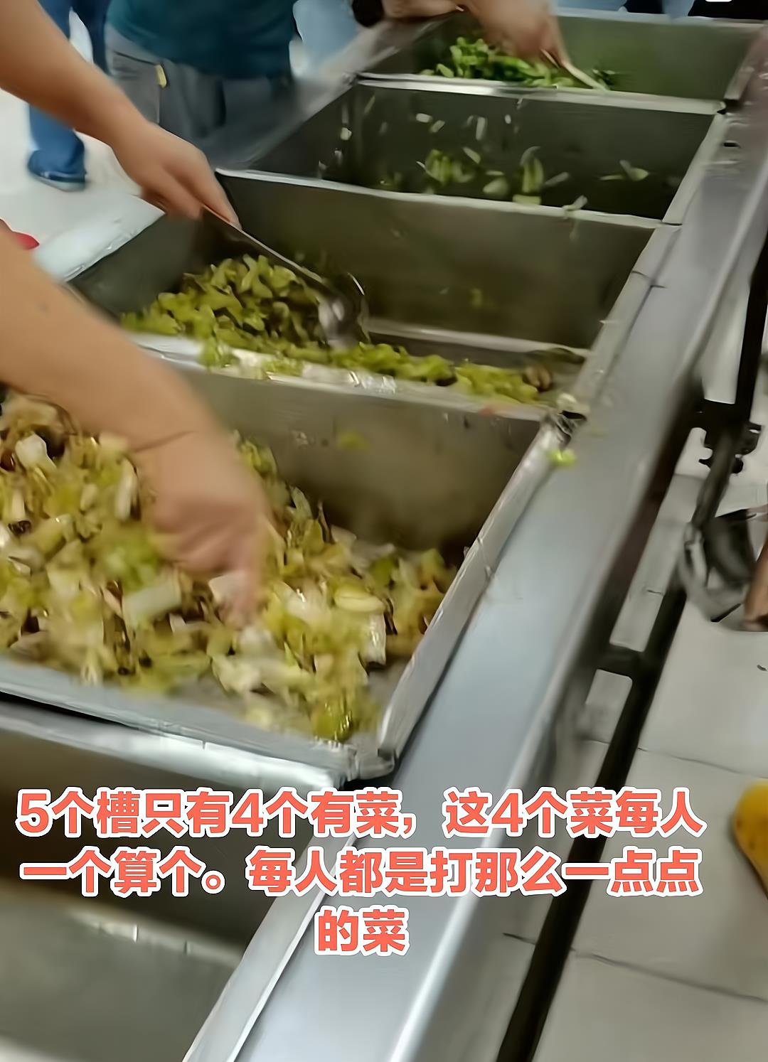 广东:男子工厂饭堂打饭,全“绿”没“红”,惹人可怜