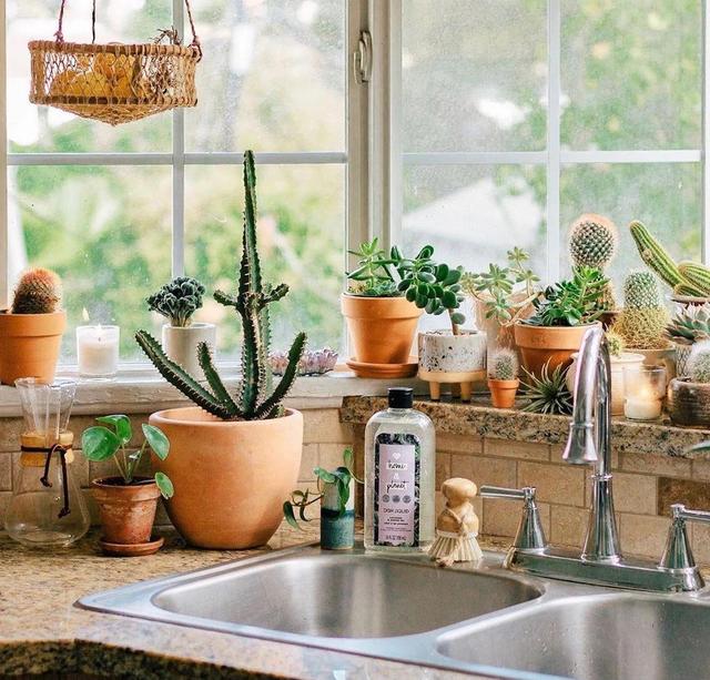 处处有植物的森系家居,配上藤编,整个家都能感受到大自然的呼吸