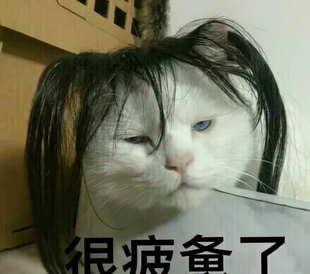 |要不要听我的经历:32岁已婚未育,裸辞找工作,比登天还难