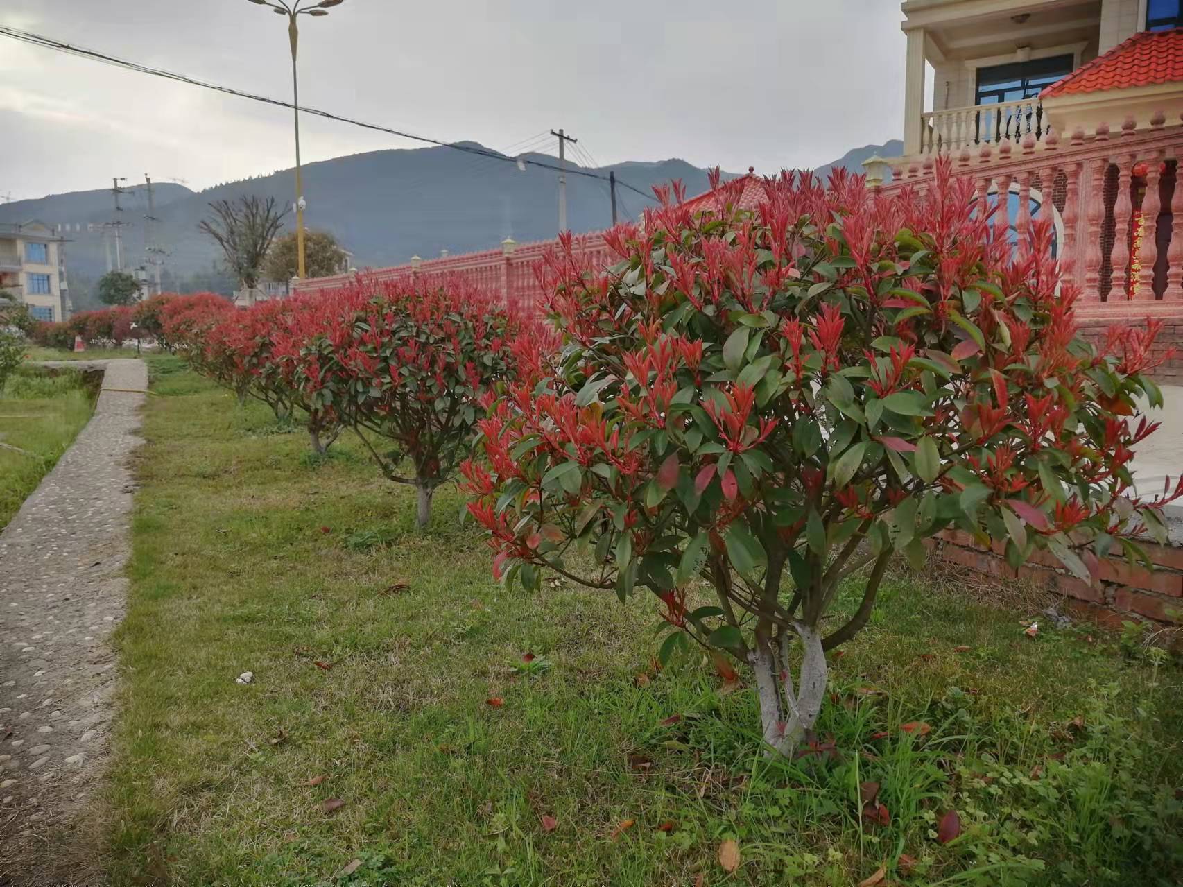 电工|从一个机械厂招维修电工给你的考题中想到的道理