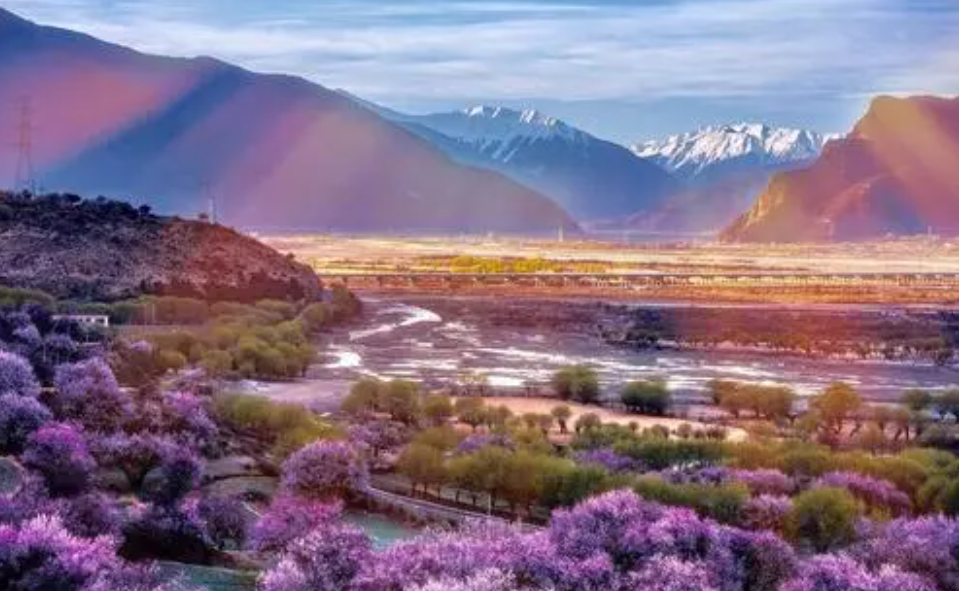西藏|一生一定要去一次西藏，看这个星球最美的桃花盛宴