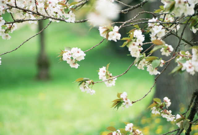 白羊座|十二生肖中,哪些人能够转好运,突破阻碍,赚得财帛,做人生赢家