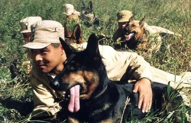 唐莉佳|人神共愤！全网怒刷一星，中国影坛蒙羞