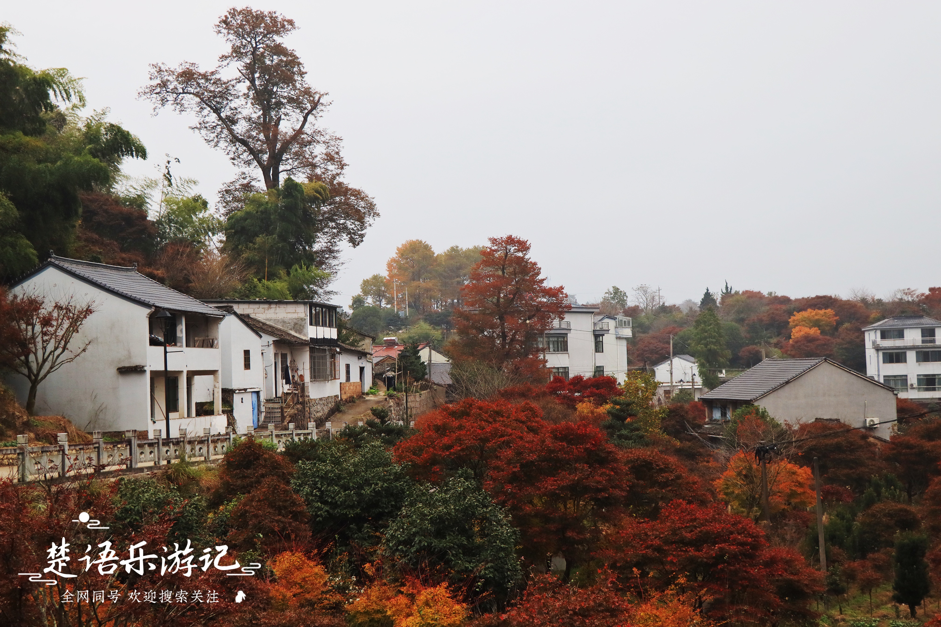 浙江省|藏在浙江雪窦山下的古村，因美龄小道而出名，秋色如画却少有人来