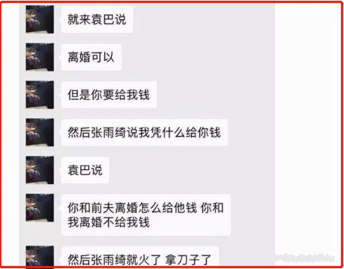 张雨绮|张雨绮：龙凤胎是她的命根子，拼死夺回抚养权，如今还在寻找爱情