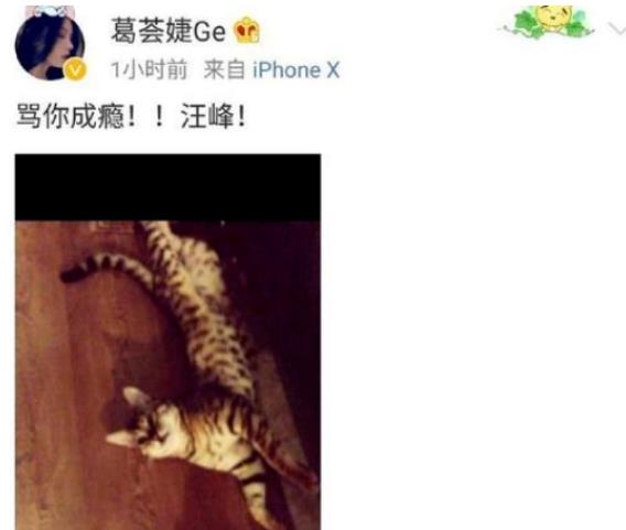 汪峰|康作如：前夫是汪峰，我和女儿相依为命，离婚后不是夫妻也是亲人