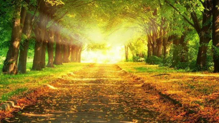 大门|【现代诗】在人海中垂钓红尘