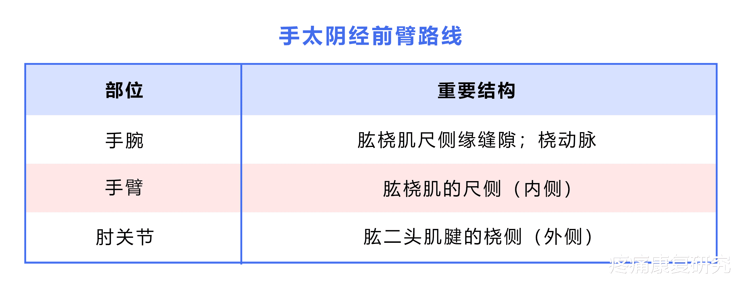 经络|【筋膜线与经络】上肢前向筋膜线与手太阴肺经