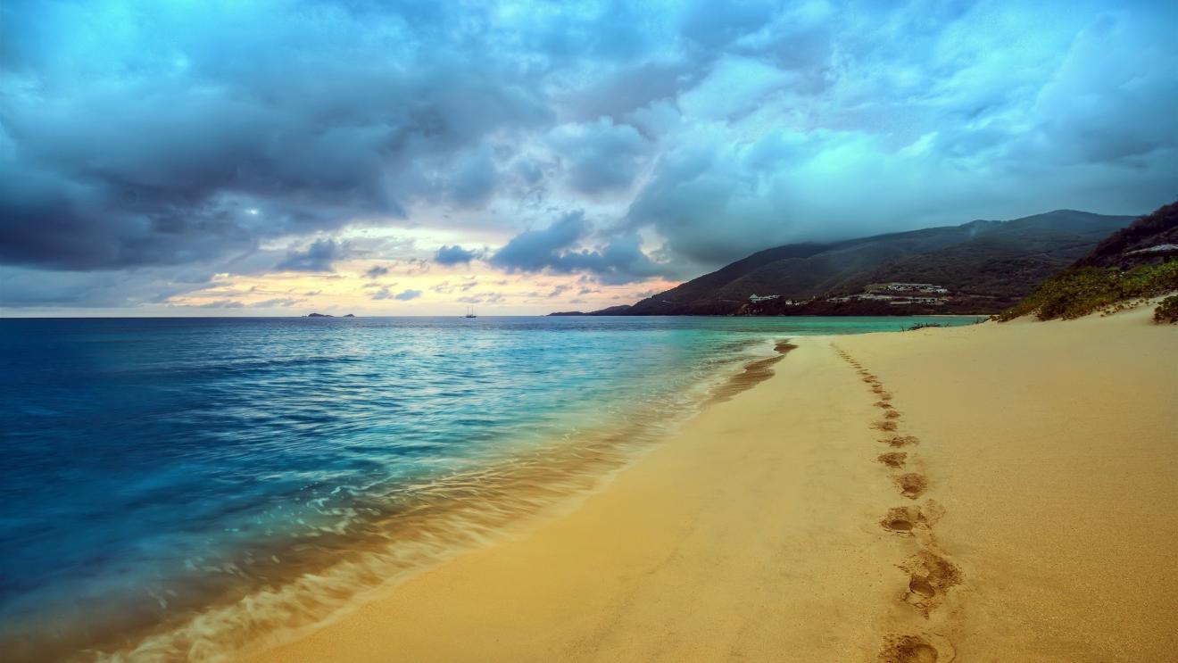 职场故事|有一种职场心计叫装孙子